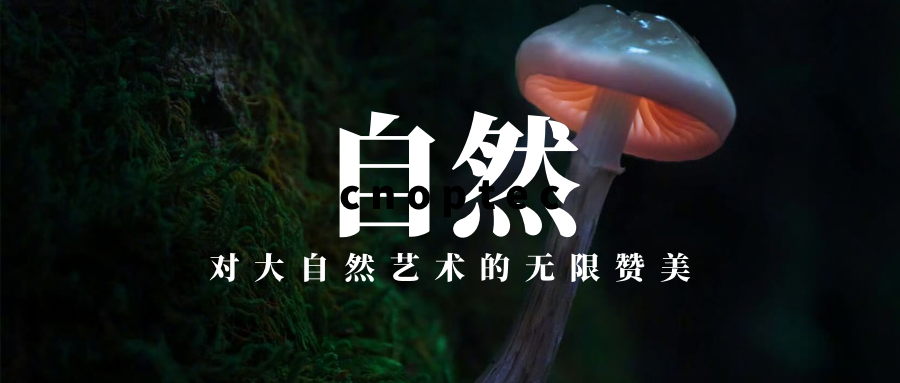 微观世界：探寻&ldquo;微小世界&rdquo;