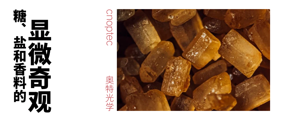 微观世界：糖、盐和香料的显微奇观