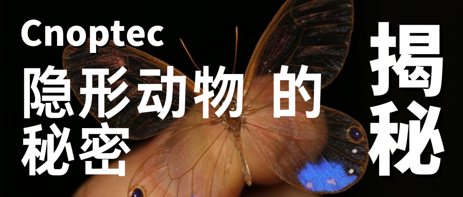 微观世界：揭示&ldquo;隐形&rdquo;动物的秘密