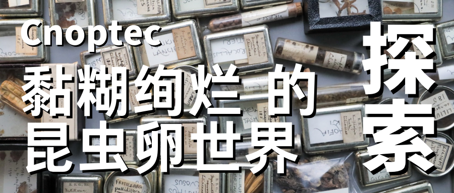微观世界：黏糊又绚丽的昆虫卵世界